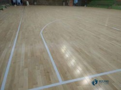 籃球場(chǎng)館地板免費(fèi)