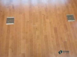 室內體育運動木地板施工隊