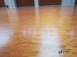 室內運動地板施工隊